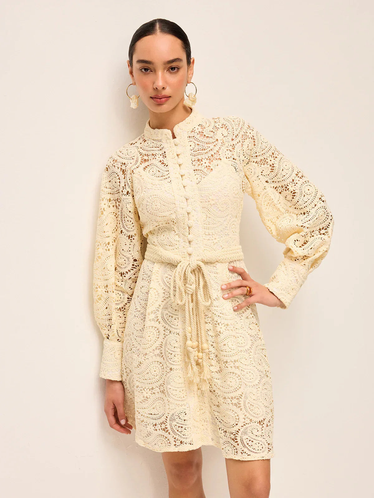Semi-Sheer Lace Belted Dress