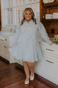 Stripe A Pose Mini Dress in Blue Curves